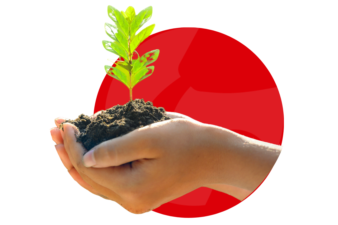 Sustainable Solution