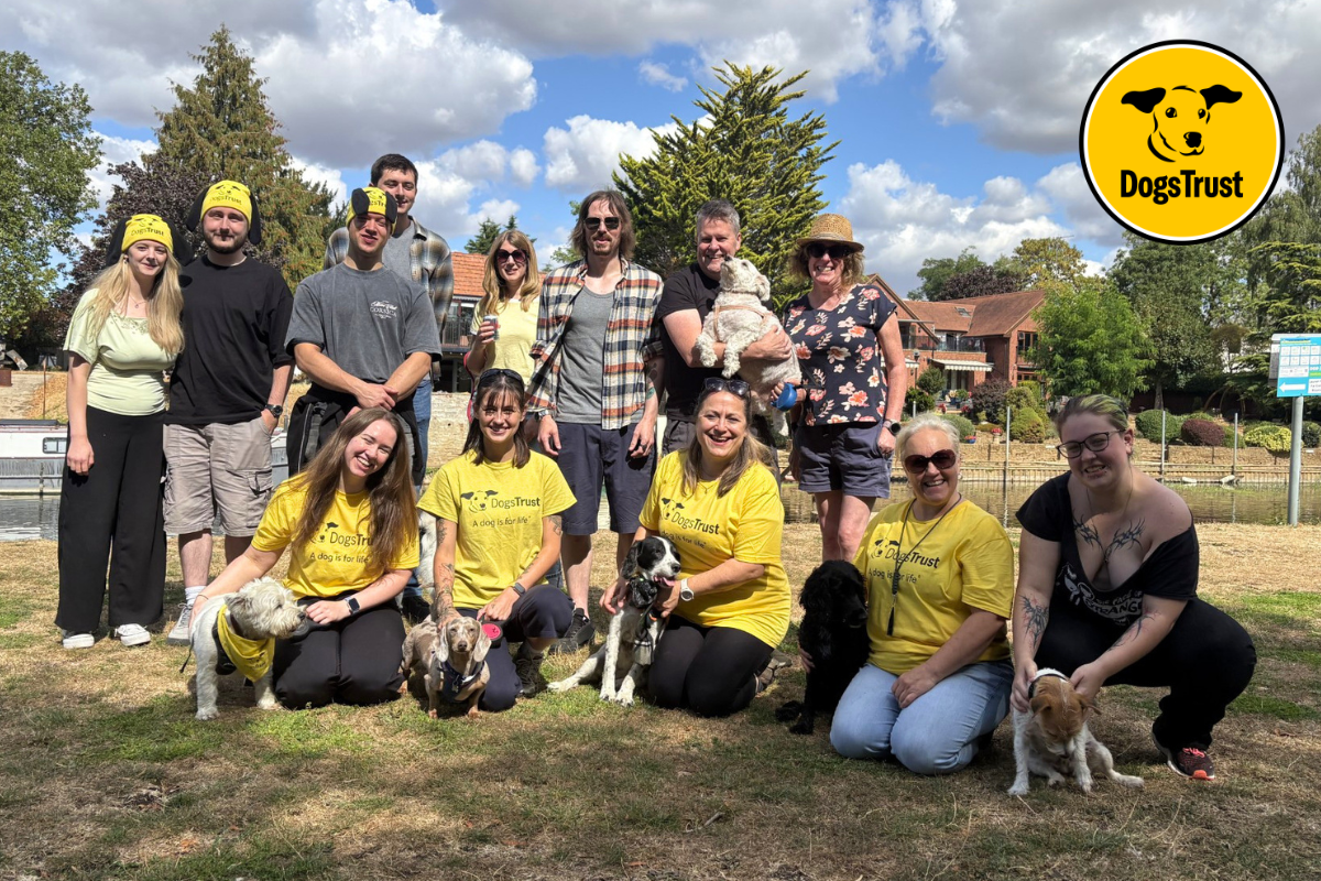 TECHSiL Team Walk for Dogs Trust